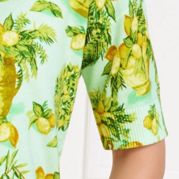 NWT Talbots ELBOW SLEEVE PULLOVER - LEMON TREES Size US 1X - Picture 3 of 5